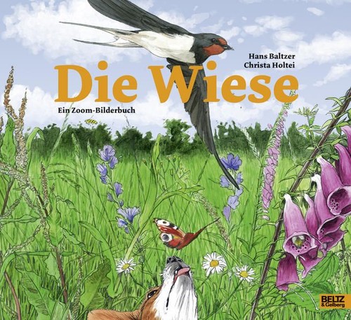 Die wiese ein zoom bilderbuch - die,