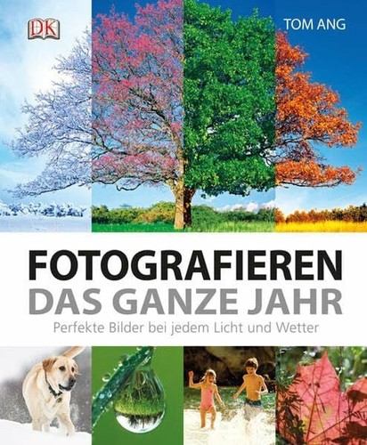 Fotografieren das ganze jahr - fotografieren,